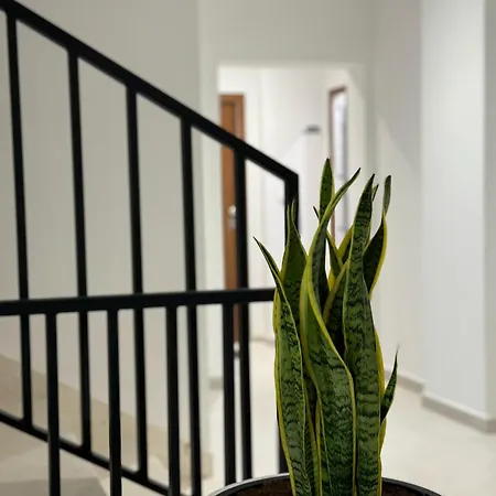 Apartment Noa